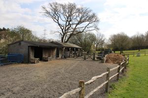 Photo 8- click for photo gallery